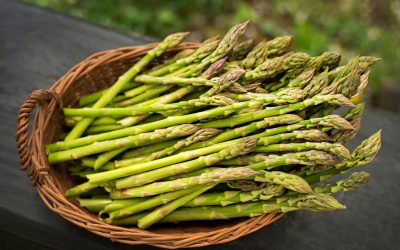 Quick and easy Asparagus Blast