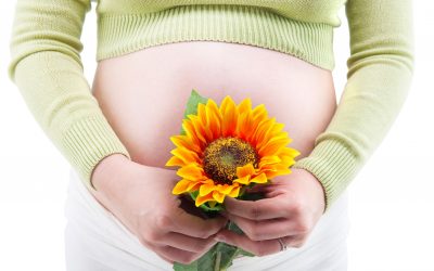 6 Steps to Conceive